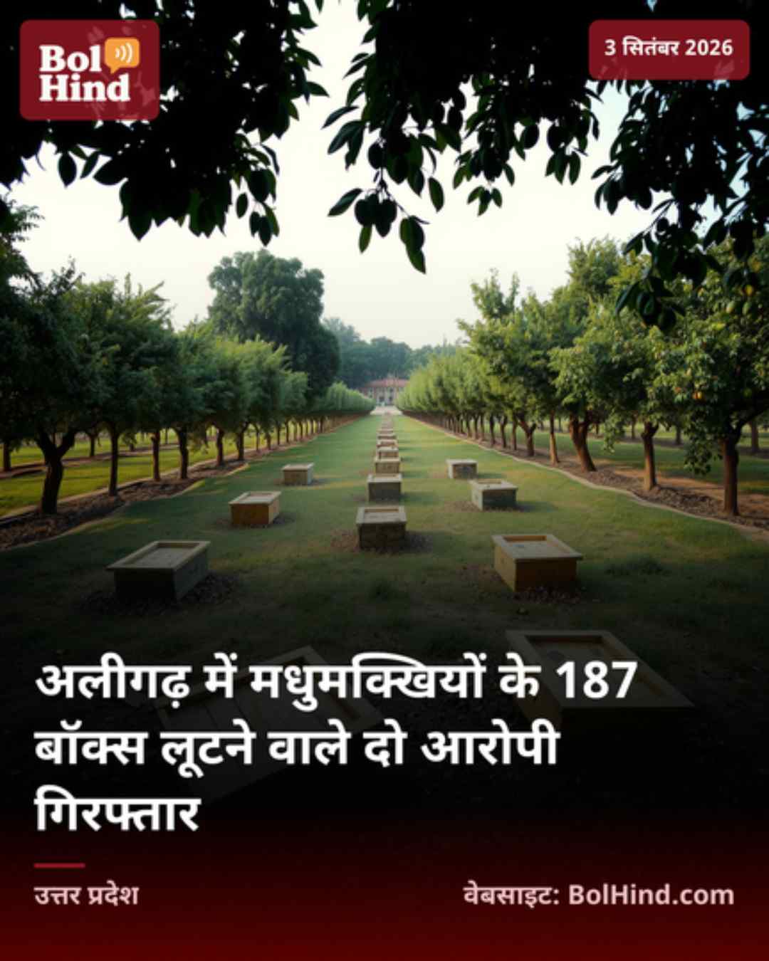 अलीगढ़ में मधुमक्खियों के 187 बॉक्स लूटने वाले दो आरोपी गिरफ्तार
