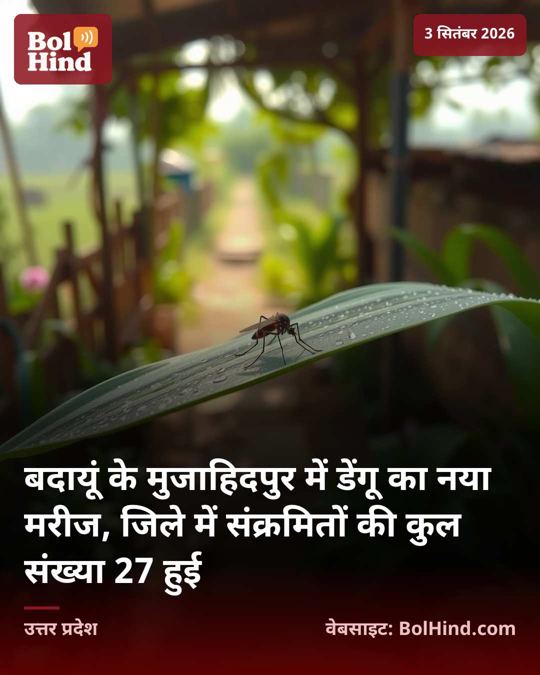 बदायूं के मुजाहिदपुर में डेंगू का नया मरीज, जिले में संक्रमितों की कुल संख्या 27 हुई