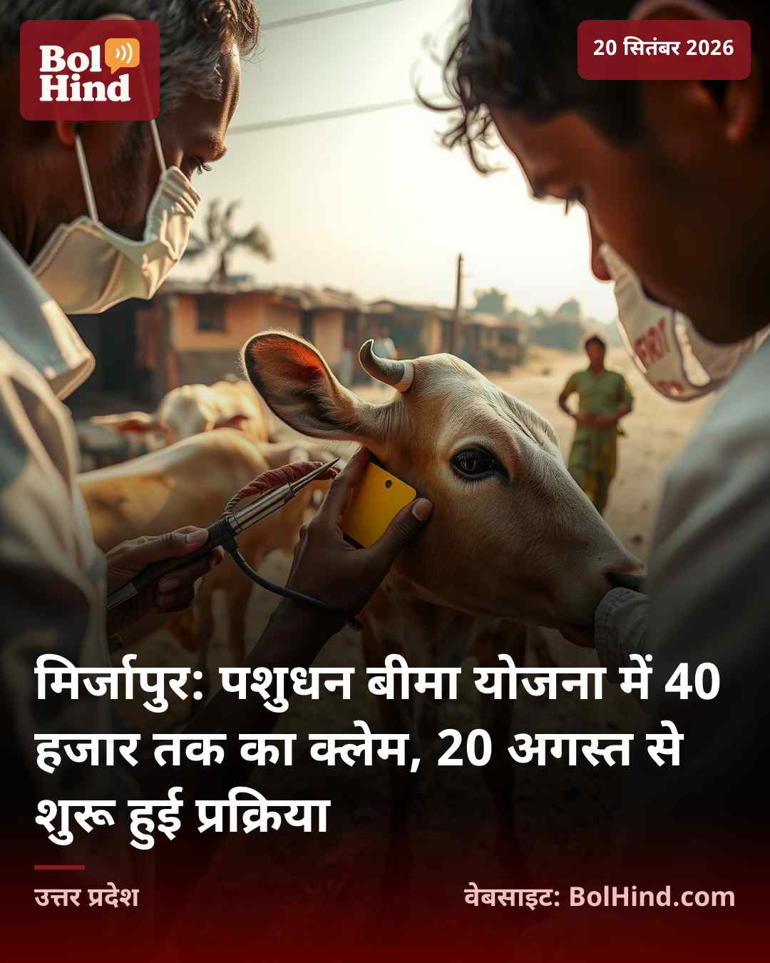 मिर्जापुर: पशुधन बीमा योजना में 40 हजार तक का क्लेम, 20 अगस्त से शुरू हुई प्रक्रिया